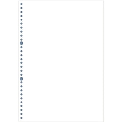 ページプリンタ元帳 A4白紙(30穴) 2000枚