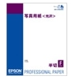 写真用紙<光沢> (半切/25枚)