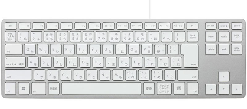 Matias Wired Aluminum Tenkeyless keyboard for PC - Silver 日本語配列