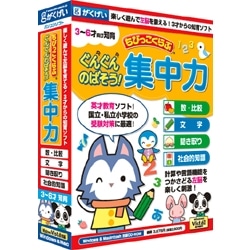 ちびっこくらぶ ぐんぐんのばそう！集中力
