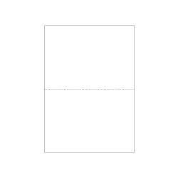 マルチプリンタ帳票 A4白紙2面