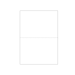 エコノミープライス マルチプリンタ帳票 A4白紙2面