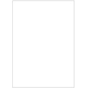 マルチプリンタ帳票 複写タイプ A4 ノーカーボン 白紙 大入