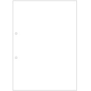 マルチプリンタ帳票 複写タイプ A4 ノーカーボン 白紙 2穴 大入