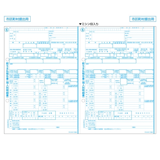 給与支払報告書（個人別明細書）A4 2面