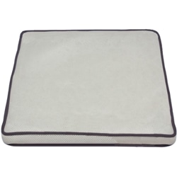 エアリークッション