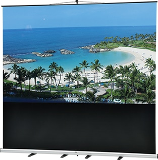 VISPROモバイルスクリーン VMR 16：10 100インチ