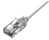 UTP カテゴリー6LANケーブル コネクター付 白 より線導体 AWG24 X 4P 30m