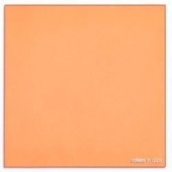 コッキン 角型全面カラーフィルター P029 オレンジ85