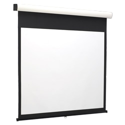 大型手動スクリーン 幕面ホワイトマット仕様 170型NTSCサイズ