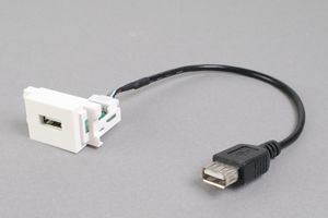 コンセントチップ コンセント側：USB（Aコネクタ メス）/ケーブル側：USB（Aコネクタ メス）