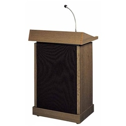 レクチャーアンプ 30W