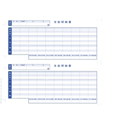 単票支給明細書(6101)