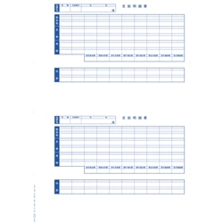 単票封筒用支給明細書（内訳項目付）(6235)