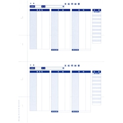 単票封筒用支給明細書（縦型）（6252）