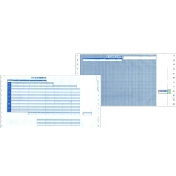 支給明細書(3P封筒式、30項目)(ドットプリンタ用) 11 1/2x6インチ/500枚