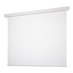 Pセレクション電動スクリーン 白パネル/端子台/全白/80型WXGA