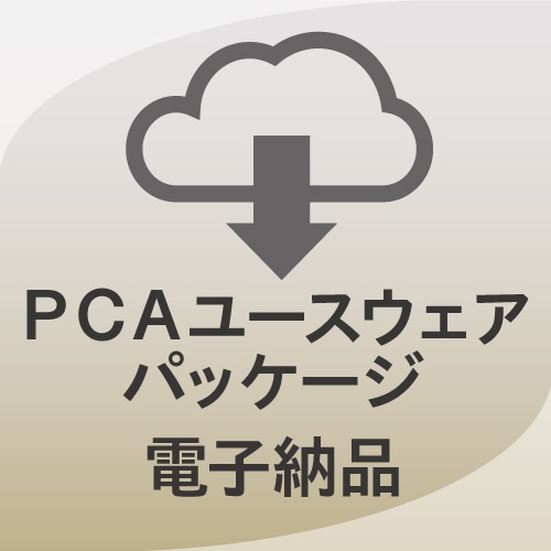 PCAサポートパッケージ 個別キット 電子納品