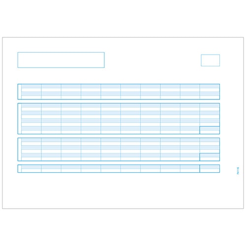 給与明細書C 500枚