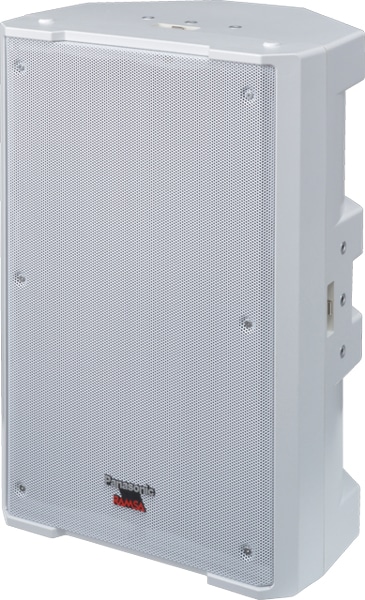 30cm2ウェイスピーカー（ホワイト）