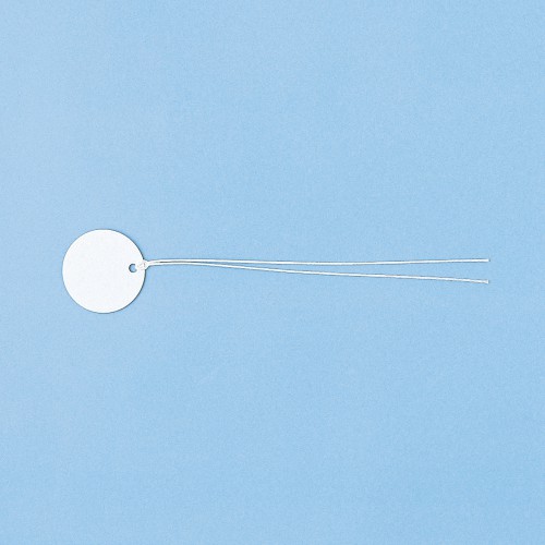 ファイバータグ（直径30mm）