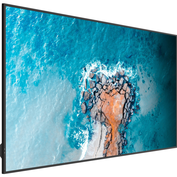 【5年無料保証　法人向けREGZA】50V型4K液晶レグザ 高輝度500cd サイネージモニター 24時間連続稼働 傾斜設置対応 ヘイズ値25% 5年長期保証