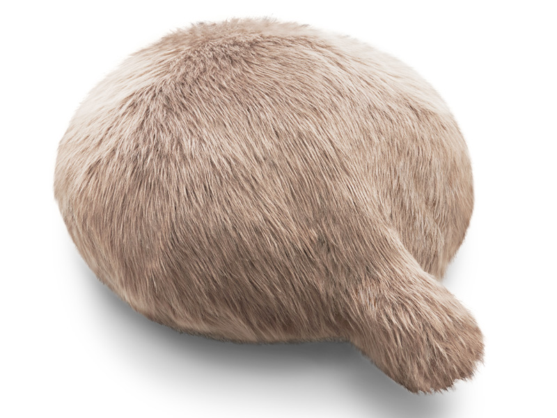 Petit Qoobo マロン(茶)