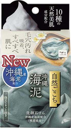 自然ごこち沖縄海泥洗顔石けん
