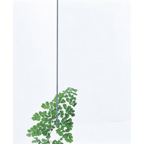 光　アクリル板（透明）３×３２０×５４５