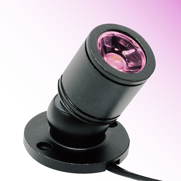 推しカラースポットライト ピンク