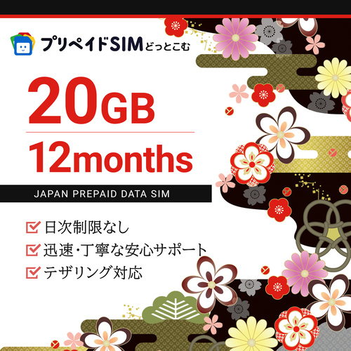 プリペイドSIM 月間20GB 最大12ヶ月 ドコモ