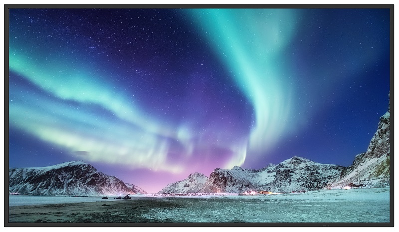 50V型インフォメーションディスプレイ/3840×2160/HDMI、USB Type-C/黒/スピーカー有/350cd/m2/16時間/メディアプレーヤー/無償オンサイト3年保証/ベーシックモデル