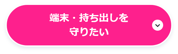 端末・持ち出しを守りたい