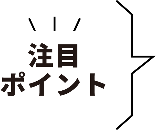 注目ポイント